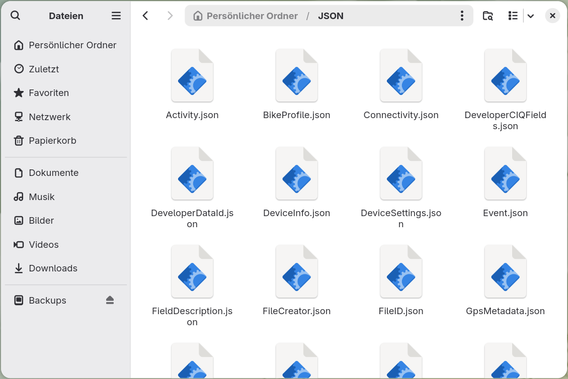 Ein Dateimanager mit einem Ordner JSON, der eine .json-Datei pro Datenbanktabelle enthält,
      alphabetisch von Activity.json bis GpsMetadata.json sichtbar.