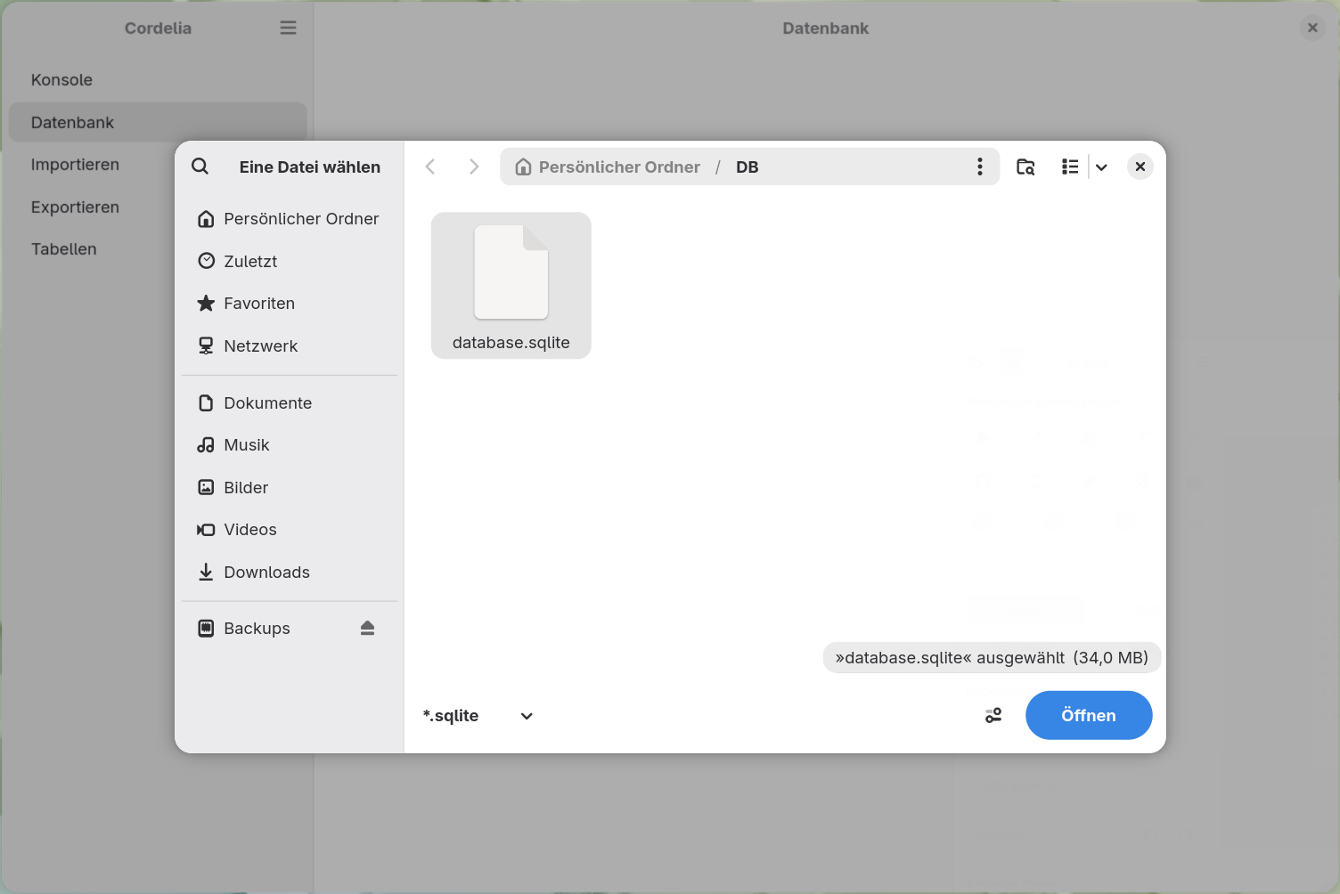 Derselbe Dialog mit database.sqlite ausgewählt in einem Ordner DB, und die Schaltfläche Öffnen
        jetzt aktiv.