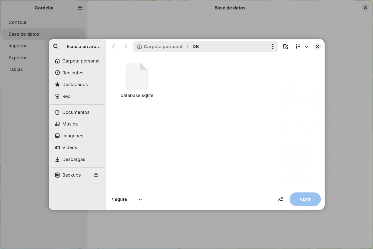 Un cuadro de diálogo para abrir archivos filtrado por *.sqlite, mostrando la carpeta DB
        dentro de la carpeta personal con database.sqlite en la lista pero sin seleccionar, y un
        botón Abrir en gris.
