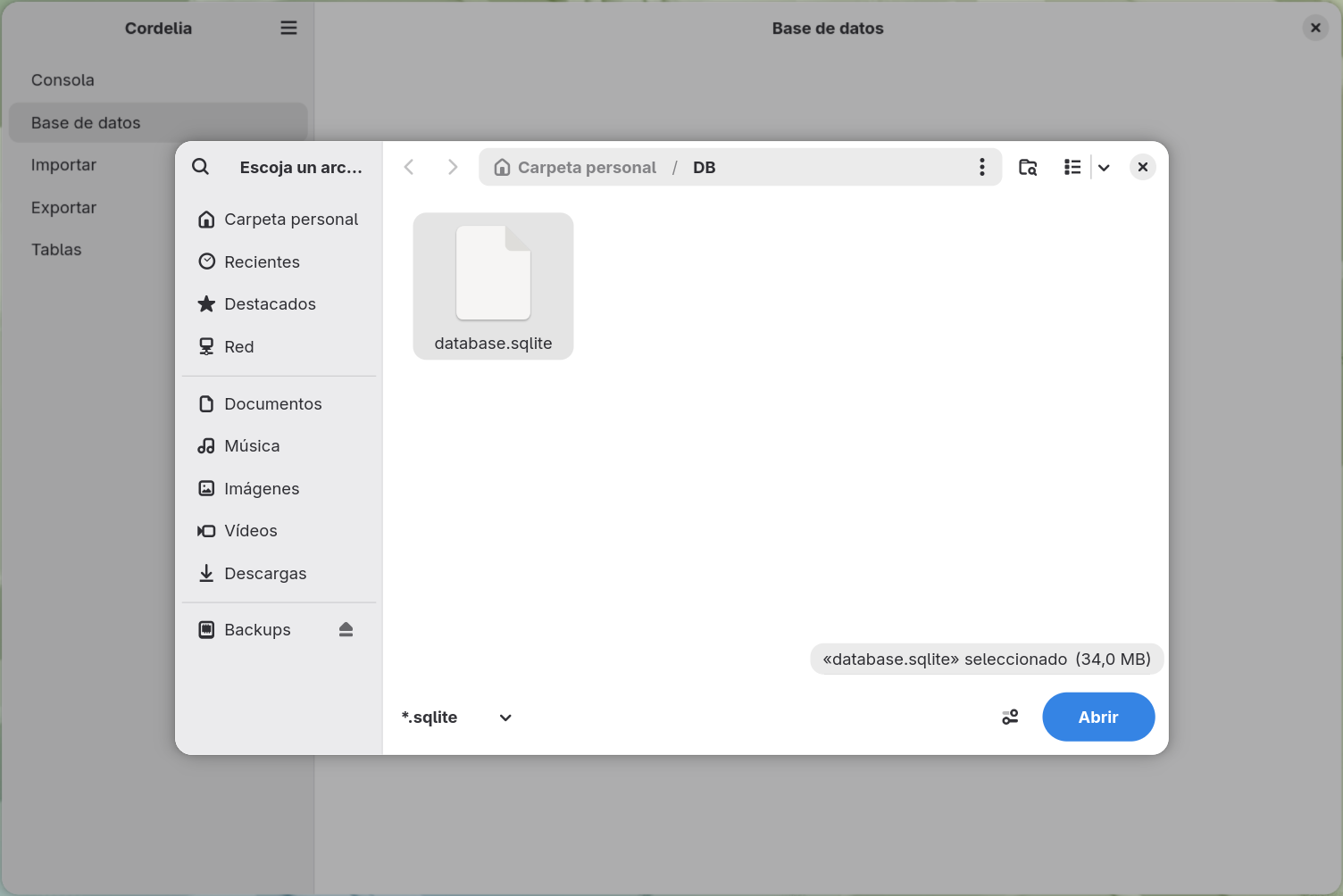 El mismo cuadro de diálogo con database.sqlite seleccionado dentro de una carpeta DB, y el botón
        Abrir ahora activo.