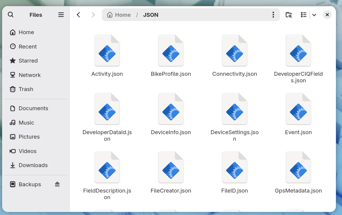 A file manager showing a JSON folder with one .json file per database table, from
      Activity.json and BikeProfile.json through to GpsMetadata.json.