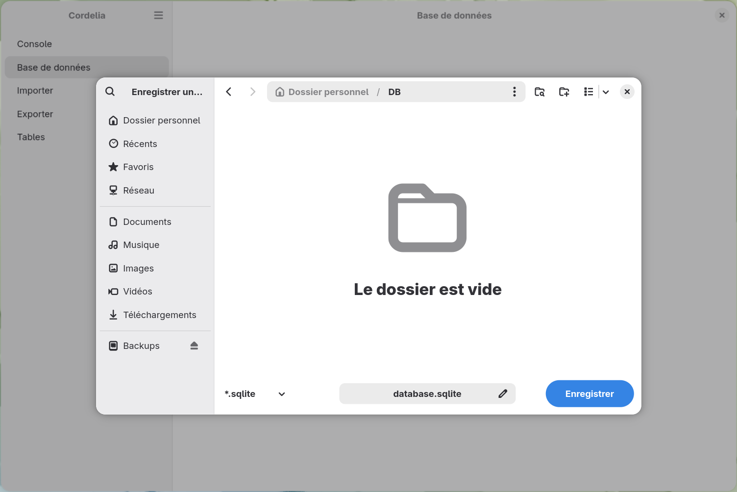 Une boîte de dialogue d'enregistrement réglée sur l'extension .sqlite, nommant une nouvelle base
        de données database.sqlite dans un dossier DB encore vide.