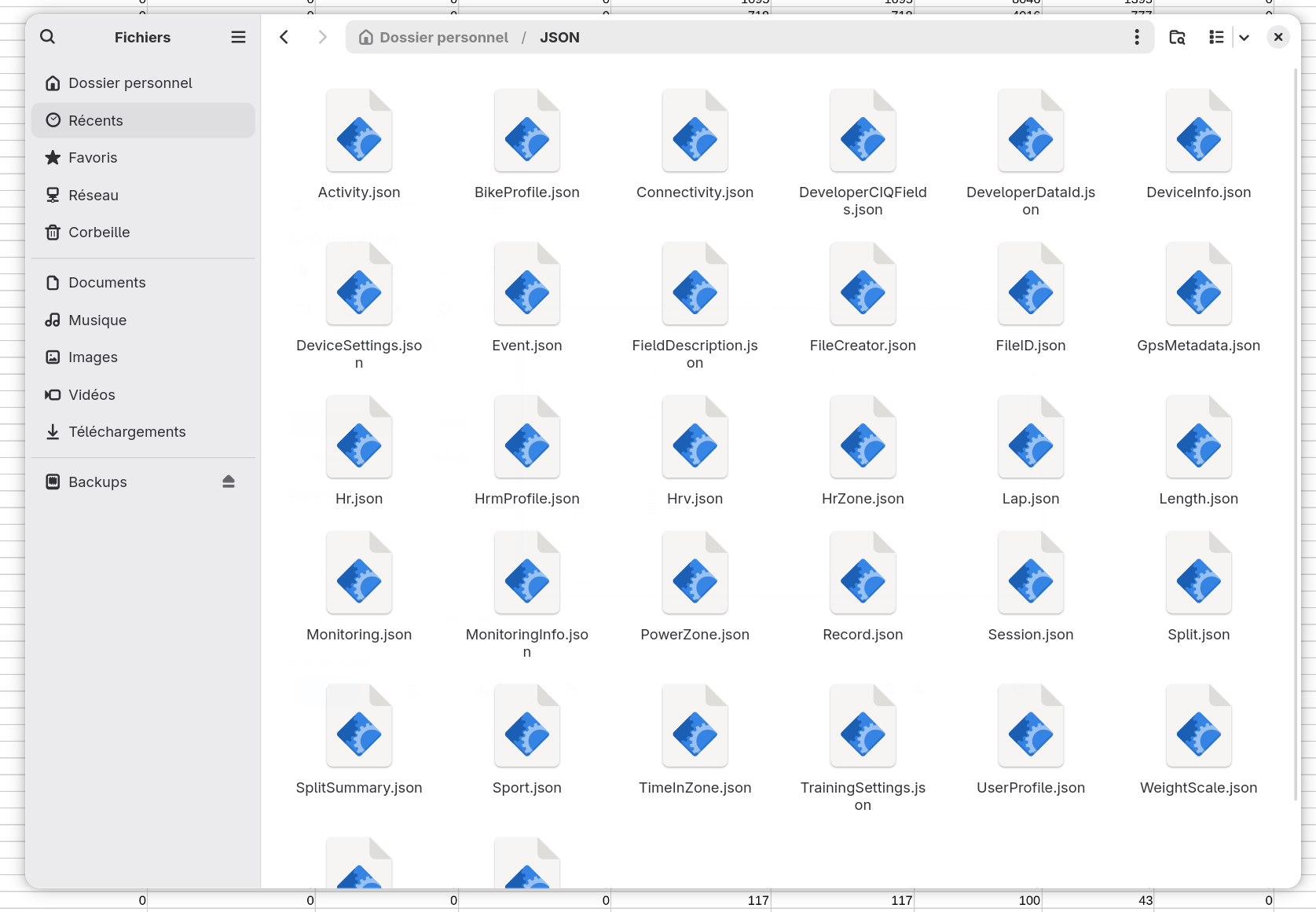 Un gestionnaire de fichiers montrant un dossier JSON avec un fichier .json par table de la base
      de données, listés par ordre alphabétique à partir d'Activity.json.