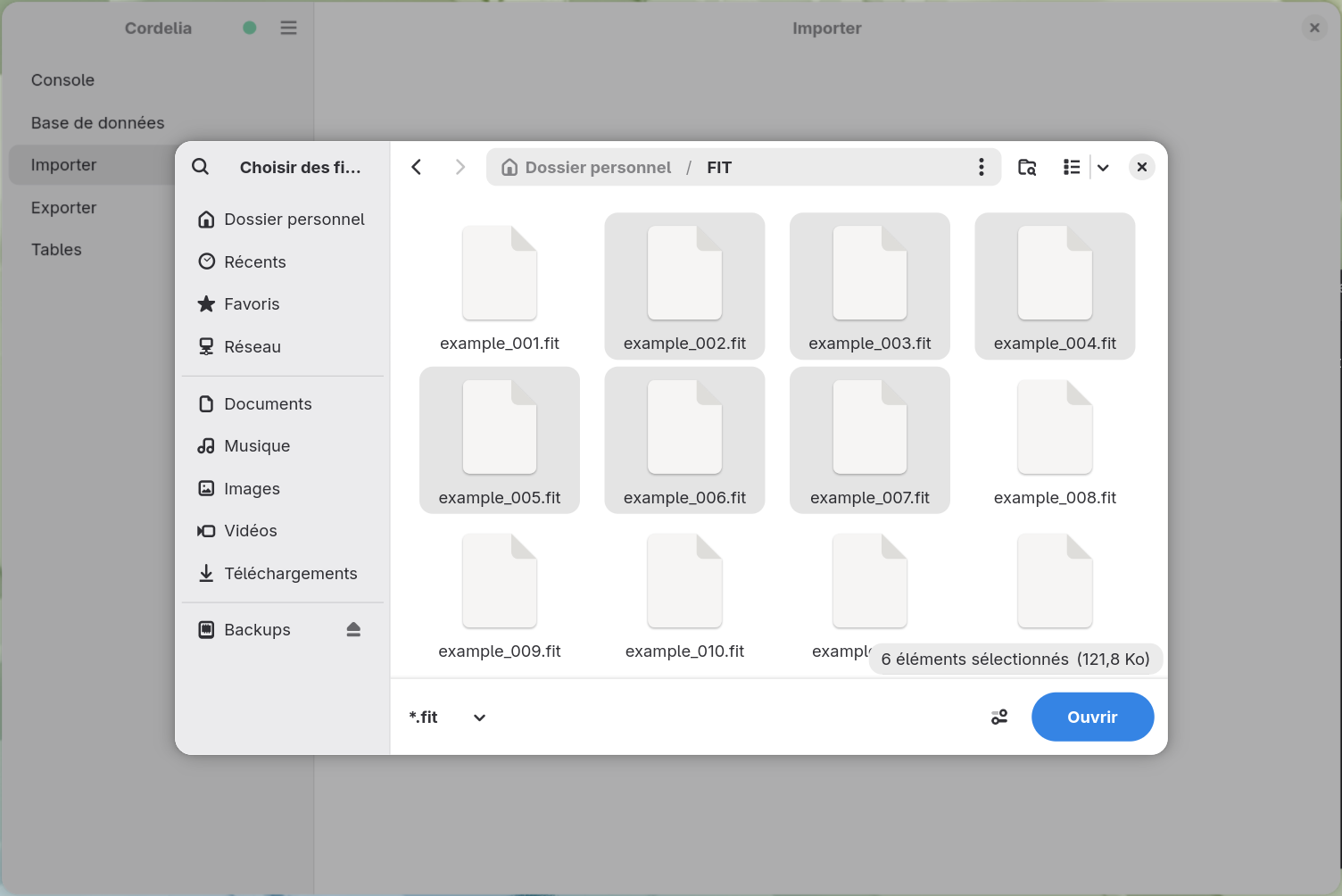 Une boîte de dialogue de sélection de fichiers filtrée sur *.fit, avec six fichiers sélectionnés
        dans un dossier FIT.