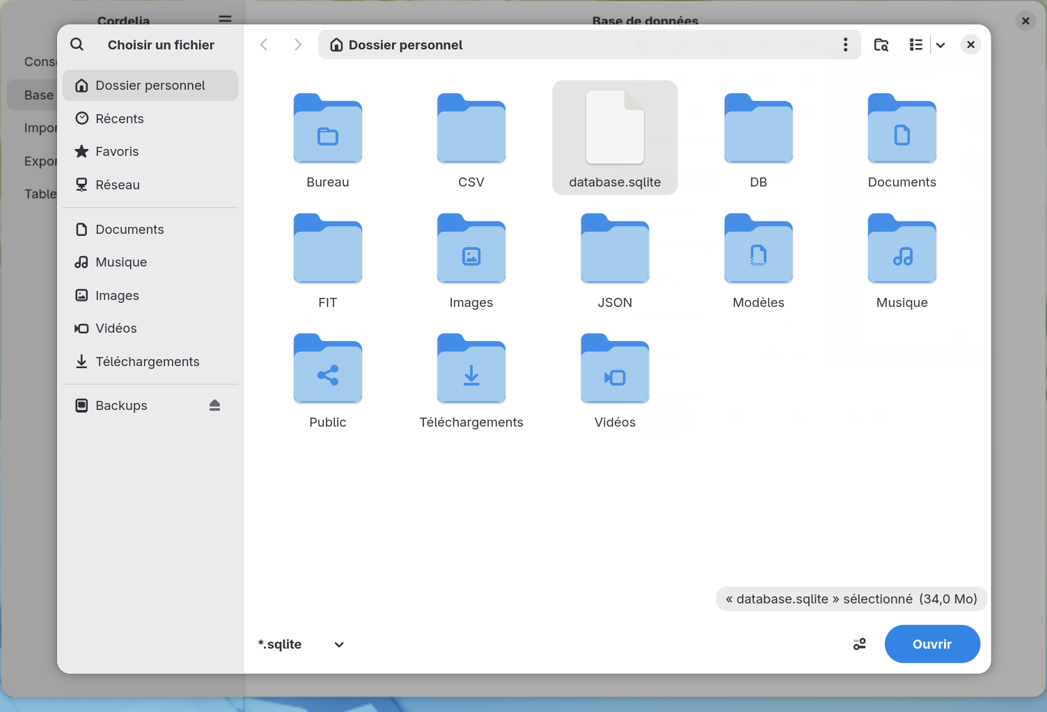 La même boîte de dialogue avec database.sqlite sélectionné dans le dossier personnel, et le
        bouton Ouvrir désormais actif.
