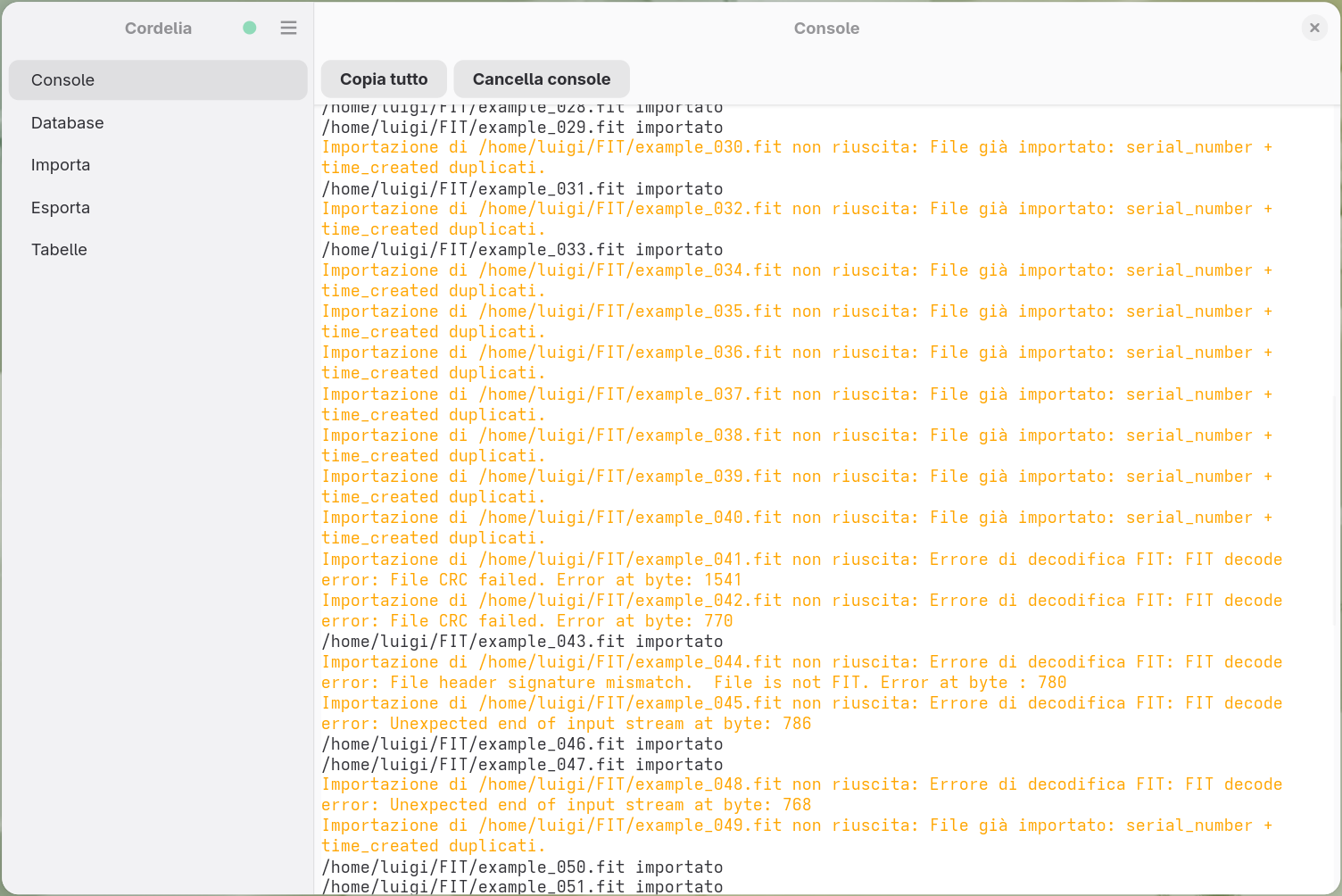 Output della console con righe arancioni di errore per i file che non è stato possibile
        importare, alcuni perché erano già stati importati e altri per errori di decodifica FIT,
        alternate a normali righe nere di importazione.