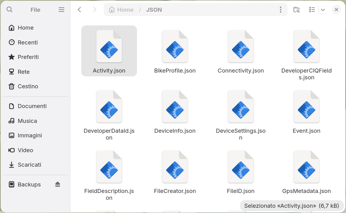 Un gestore di file che mostra una cartella JSON con un file .json per ogni tabella del database,
      elencati in ordine alfabetico a partire da Activity.json.