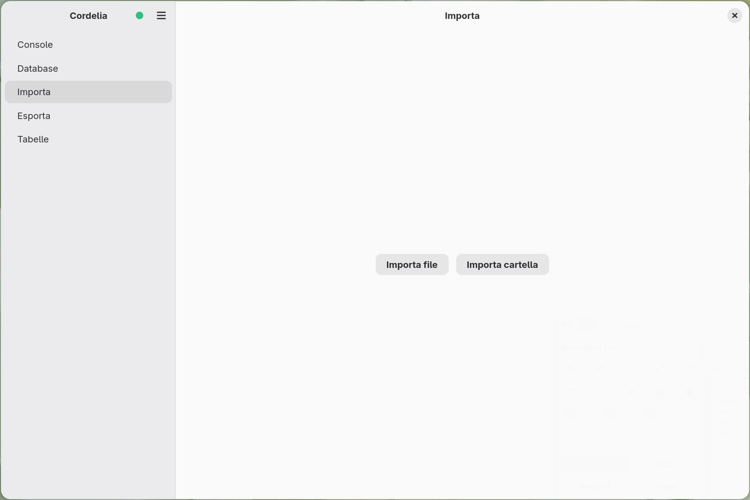 Il pannello Importa con i pulsanti Importa file e Importa cartella.
