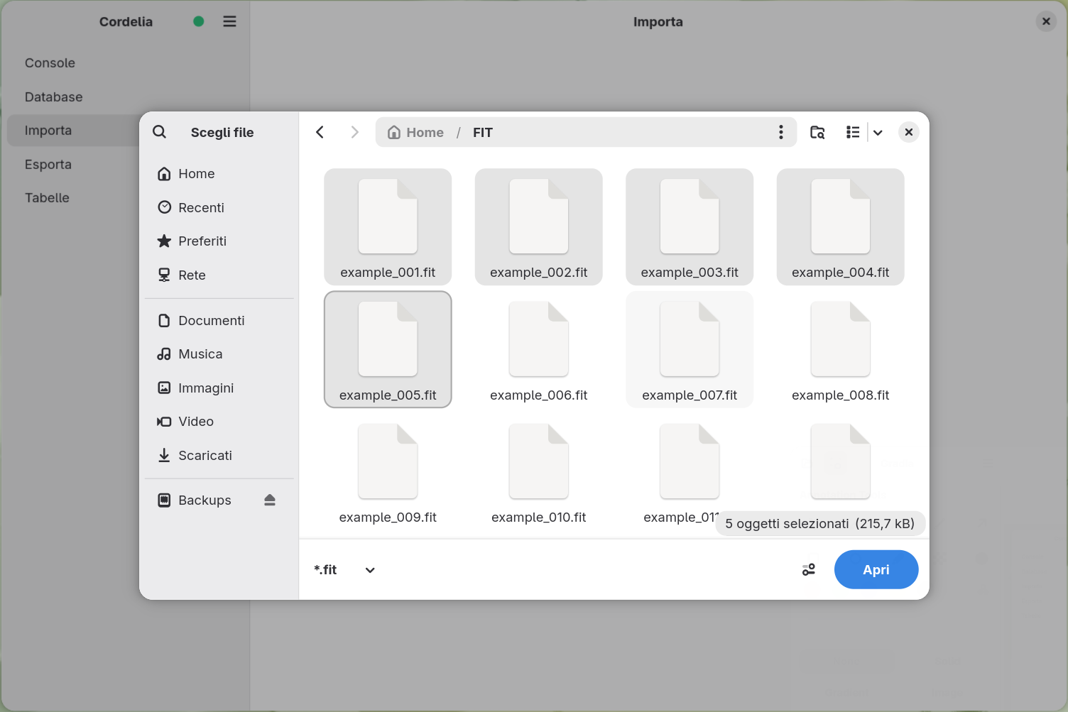 Una finestra di selezione file filtrata su *.fit, con cinque file selezionati in una cartella
        FIT.