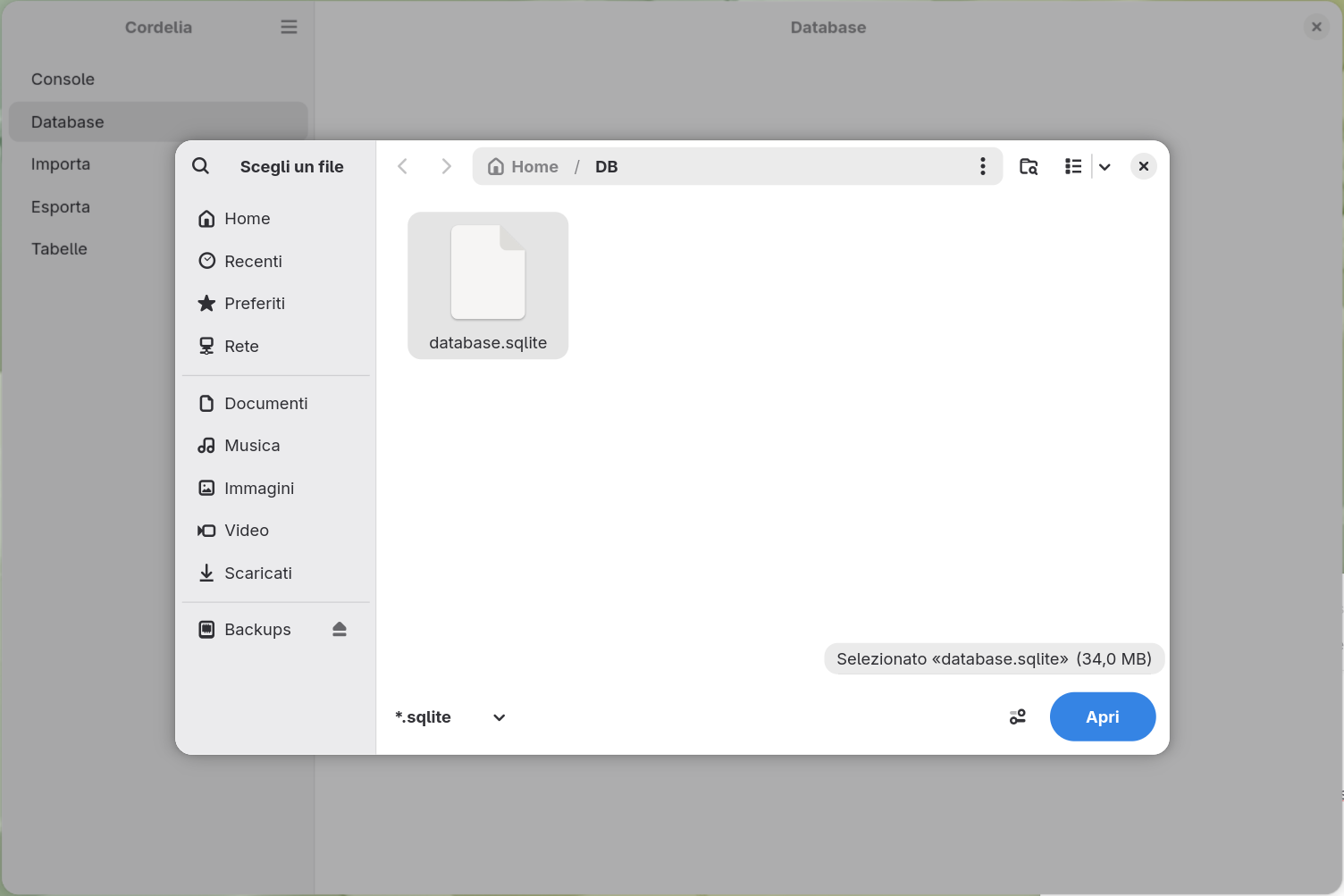 La stessa finestra di dialogo con database.sqlite selezionato all'interno di una cartella DB, e
        il pulsante Apri ora attivo.