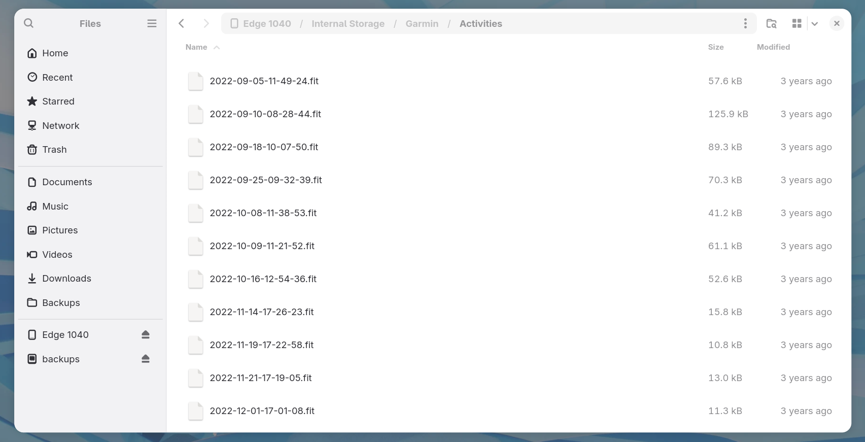 The Garmin device's Activity folder, listing a series of .fit files named by date and
      time.