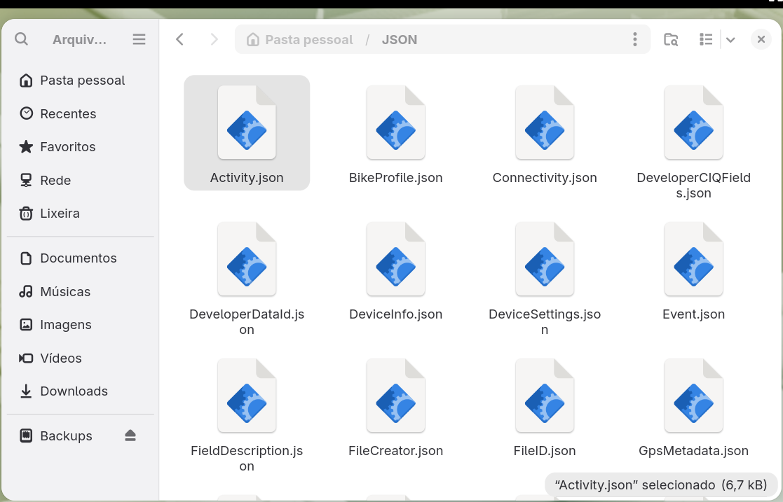 Um gerenciador de arquivos mostrando uma pasta JSON com um arquivo .json por tabela do banco de
      dados, listados em ordem alfabética a partir de Activity.json.
