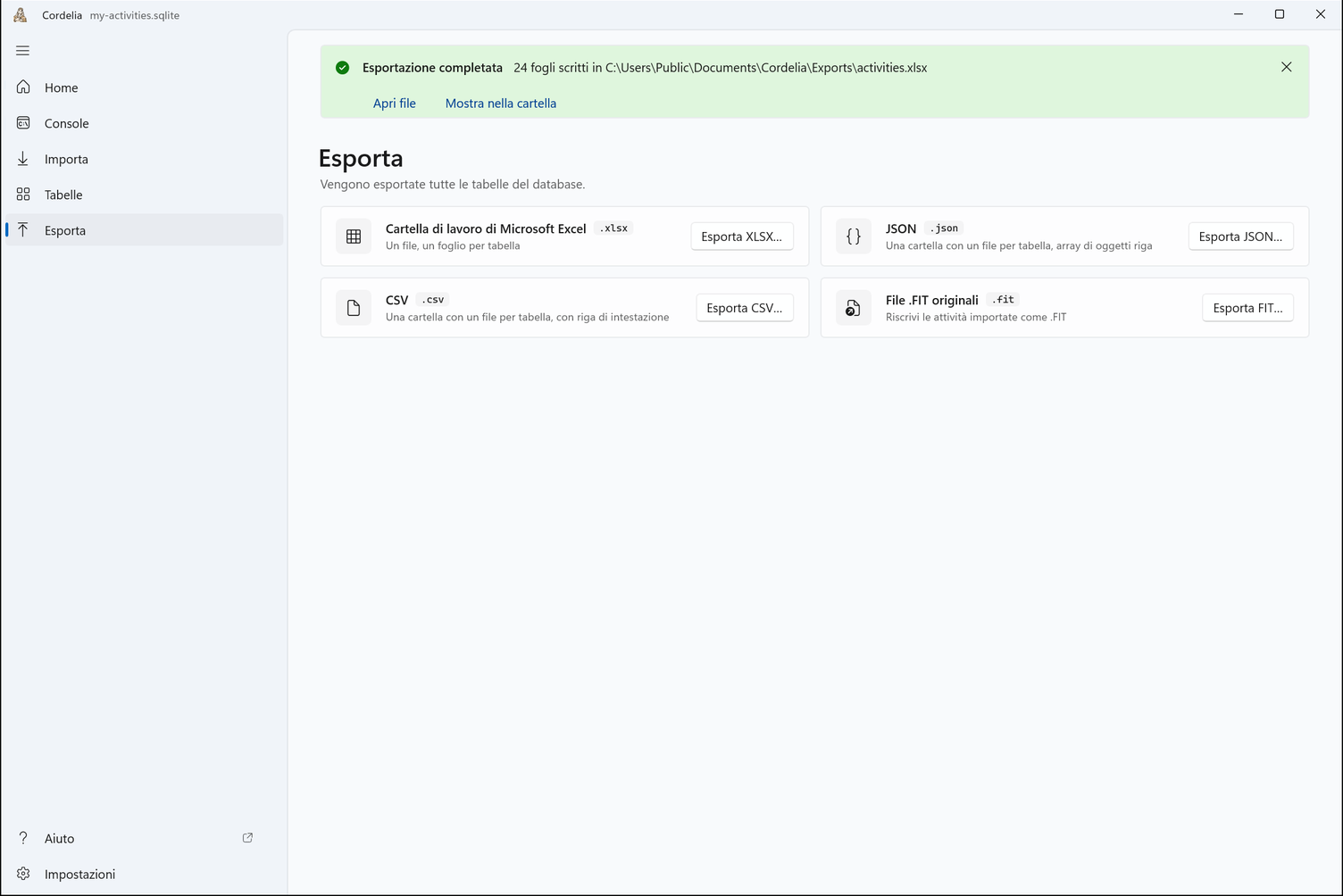 La pagina Esporta con i suoi quattro formati, sotto un avviso verde: Esportazione completata, 24 fogli scritti in activities.xlsx, con Apri file e Mostra nella cartella.